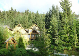 Mountain Star in Whistler - Summer