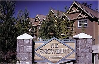 Snowbird at Whistler Canada