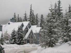 Treeline Whistler Winter