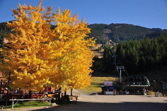 Whistler 1 Bedroom Accommodation - Lake Placid Lodge - #1000