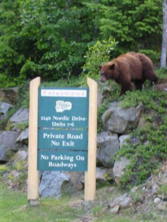 Whistler 2 Bedroom Accommodation - Taluswood - #102 Whistler 2 Bedroom Accommodation - Taluswood - #102