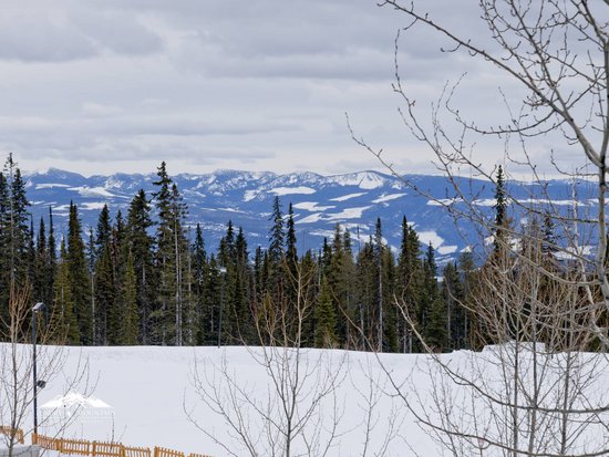 Big White 3 Bedroom Accommodation - Spyglass - #1078