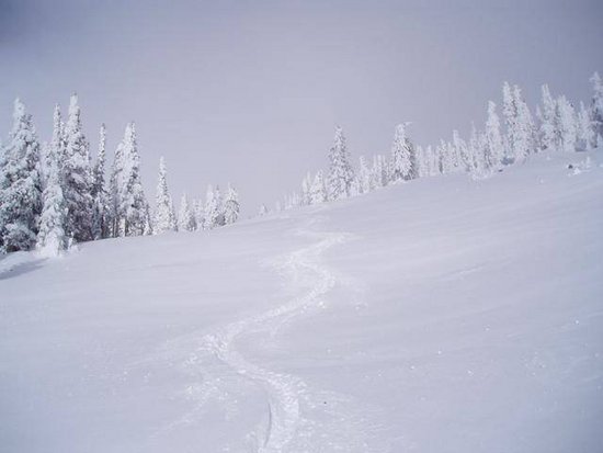 Big White 3 Bedroom Accommodation - Towering Pines - #1129