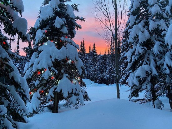 Sun Peaks 4 Bedroom Accommodation - Woodhaven - #1165 Sun Peaks 4 Bedroom Accommodation - Woodhaven - #1165