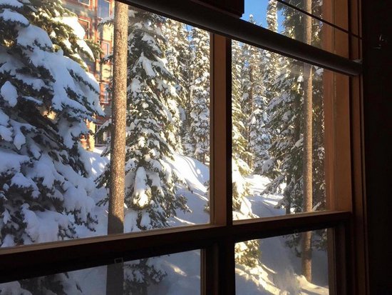 Big White 5 Bedroom Accommodation - Snow Pine Estates - #1219