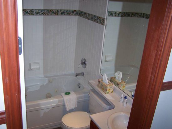 Whistler 1 Bedroom Accommodation - Glacier's Reach - #1276