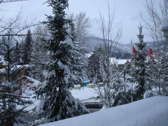 Whistler Studio Accommodation - Whistler Town Plaza - Deer Lodge - #1386