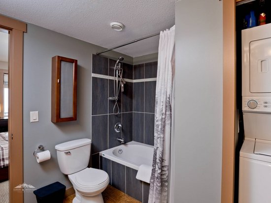 Big White 3 Bedroom Accommodation - Raven - #1505