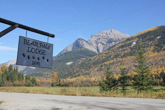 Kicking Horse 4 Bedroom Accommodation - Blaeberry Valley - #1510