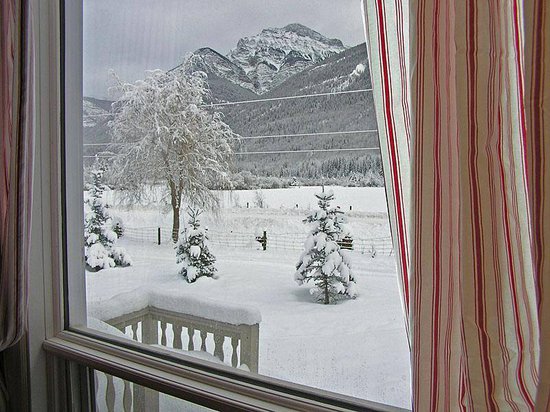 Kicking Horse 4 Bedroom Accommodation - Blaeberry Valley - #1510