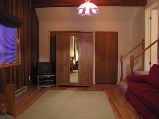 Kicking Horse 4 Bedroom Accommodation - Blaeberry Valley - #1510