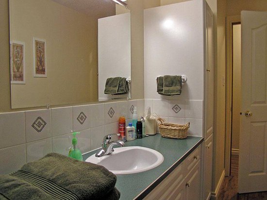 Kicking Horse 4 Bedroom Accommodation - Blaeberry Valley - #1510