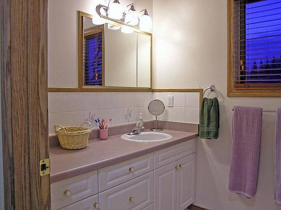 Kicking Horse 4 Bedroom Accommodation - Blaeberry Valley - #1510