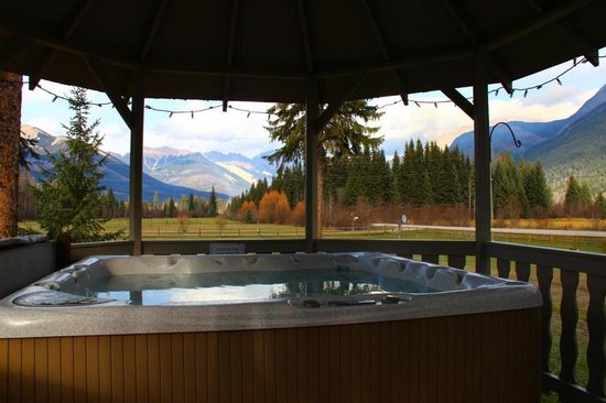 Kicking Horse 4 Bedroom Accommodation - Blaeberry Valley - #1510