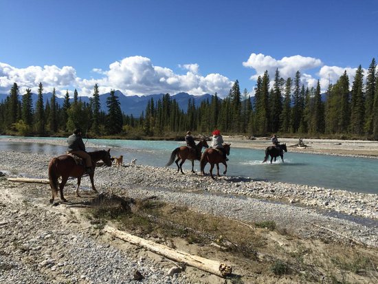 Kicking Horse 4 Bedroom Accommodation - Blaeberry Valley - #1510