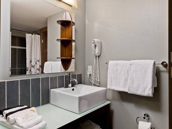 Big White 3 Bedroom Accommodation - Raven - #1519