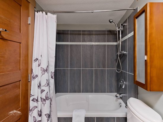 Big White 3 Bedroom Accommodation - Raven - #1519