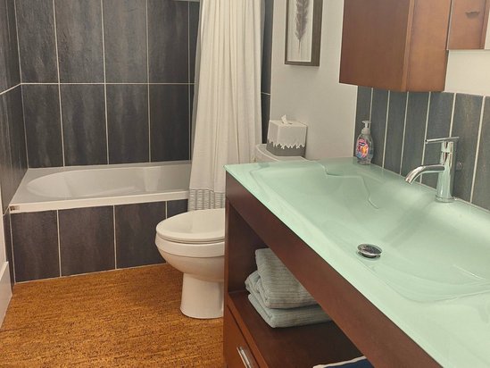 Big White 2 Bedroom Accommodation - Raven - #1521