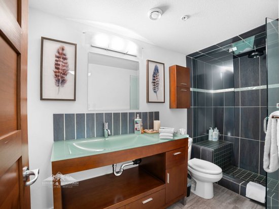 Big White 2 Bedroom Accommodation - Raven - #1521