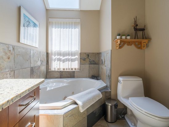 Whistler 3 Bedroom Accommodation - Snowgoose - #17