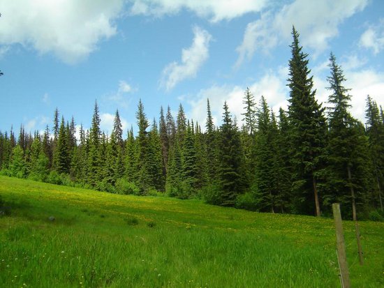 Sun Peaks 2 Bedroom Accommodation - Fireside Lodge - #1750 Sun Peaks 2 Bedroom Accommodation - Fireside Lodge - #1750