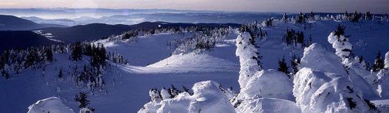 Sun Peaks 2 Bedroom Accommodation - Fireside Lodge - #1750 Sun Peaks 2 Bedroom Accommodation - Fireside Lodge - #1750