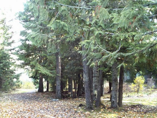 Whistler 1 Bedroom Accommodation - The Gables - #182