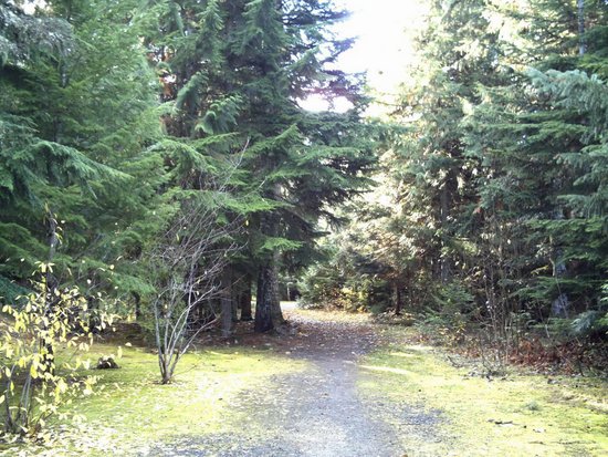 Whistler 1 Bedroom Accommodation - The Gables - #182