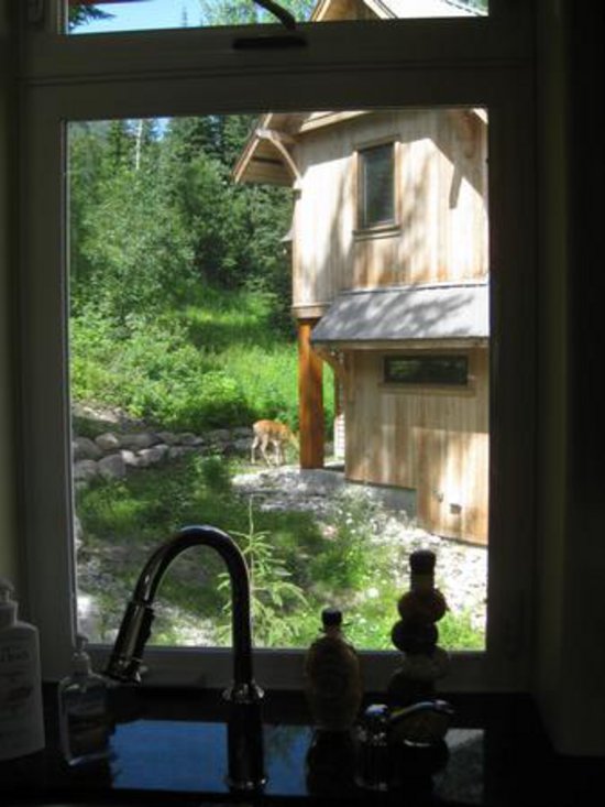 Kicking Horse 5 Bedroom Accommodation - Purcell Woods - #2018