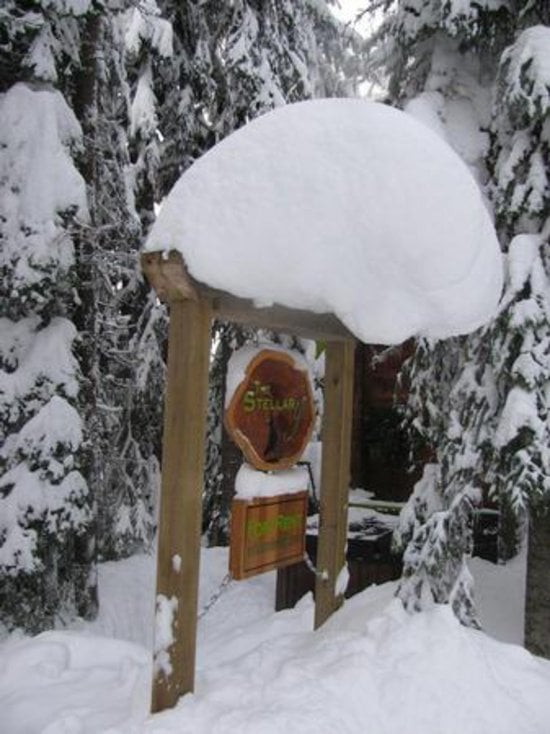 Silver Star 2 Bedroom Accommodation - Cabin Colony - #2085 Silver Star 2 Bedroom Accommodation - Cabin Colony - #2085