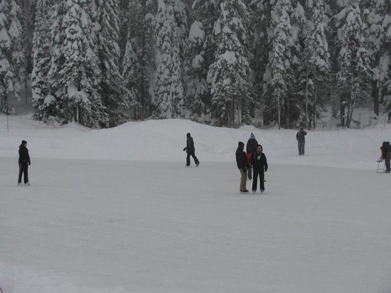 Silver Star 2 Bedroom Accommodation - Cabin Colony - #2085 Silver Star 2 Bedroom Accommodation - Cabin Colony - #2085