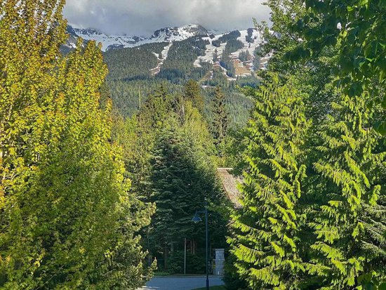 Whistler 3 Bedroom Accommodation - Montebello - #209