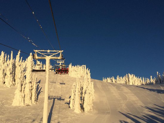 Silver Star 2 Bedroom Accommodation - Cabin Colony - #2113 Silver Star 2 Bedroom Accommodation - Cabin Colony - #2113