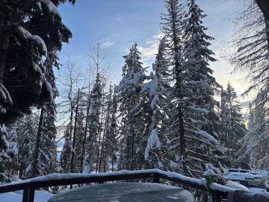 Silver Star 2 Bedroom Accommodation - Cabin Colony - #2113