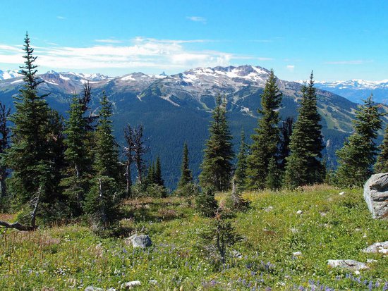 Whistler 2 Bedroom Accommodation - Aspens - #2125 Whistler 2 Bedroom Accommodation - Aspens - #2125