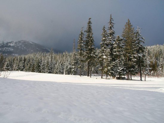 Whistler 2 Bedroom Accommodation - Gleneagles - #2190