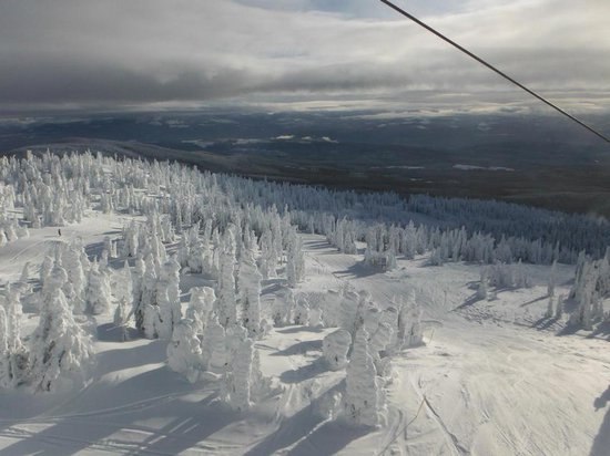 Big White 2 Bedroom Accommodation - Timber Ridge - #2231 Big White 2 Bedroom Accommodation - Timber Ridge - #2231