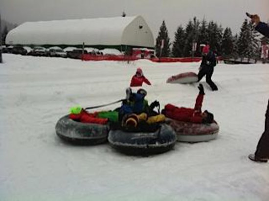 Whistler 2 Bedroom Accommodation - Whistler Town Plaza - Eagle Lodge - #2233