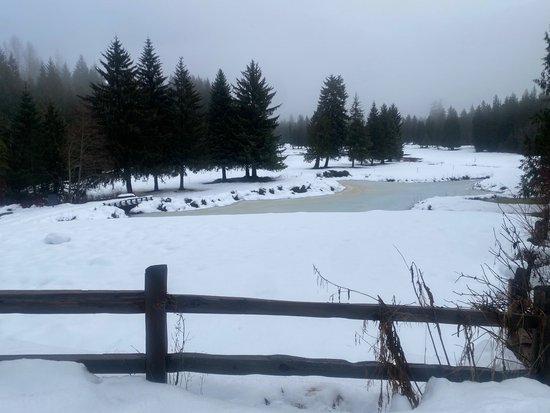 Whistler 2 Bedroom Accommodation - Whistler Town Plaza - Eagle Lodge - #2233