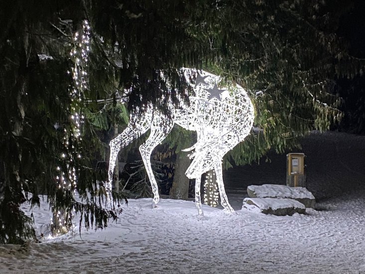 Whistler 2 Bedroom Accommodation - Whistler Town Plaza - Eagle Lodge - #2233