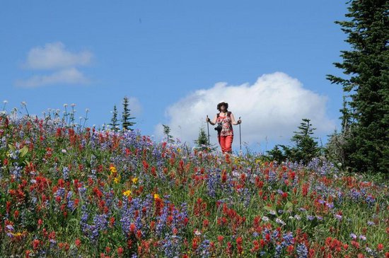 Sun Peaks 4 Bedroom Accommodation - Bridge Gate - #2235 Sun Peaks 4 Bedroom Accommodation - Bridge Gate - #2235