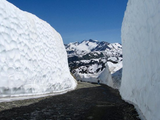 Whistler 3 Bedroom Accommodation - Woodrun - #27