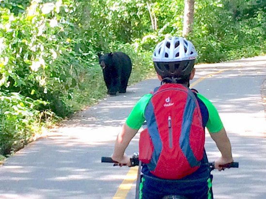 Whistler 3 Bedroom Accommodation - Woodrun - #27