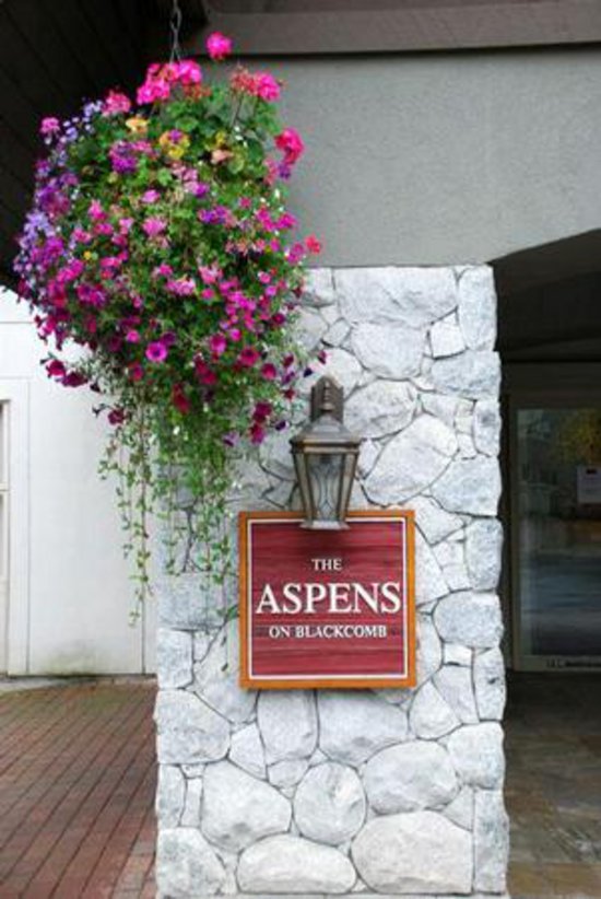 Whistler 1 Bedroom Accommodation - Aspens - #28