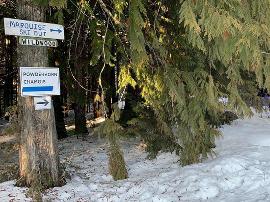 Whistler 1 Bedroom Accommodation - Marquise - #3369 Whistler 1 Bedroom Accommodation - Marquise - #3369