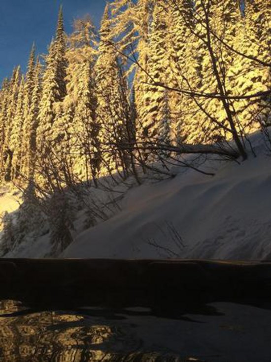 Silver Star 4 Bedroom Accommodation - Alpine Meadows - #3388 Silver Star 4 Bedroom Accommodation - Alpine Meadows - #3388