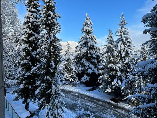 Whistler 2 Bedroom Accommodation - Grey Hawk - #3458