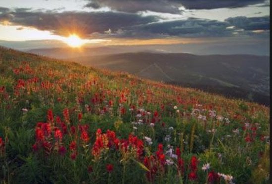 Sun Peaks 2 Bedroom Accommodation - Settlers Crossing - #3563 Sun Peaks 2 Bedroom Accommodation - Settlers Crossing - #3563