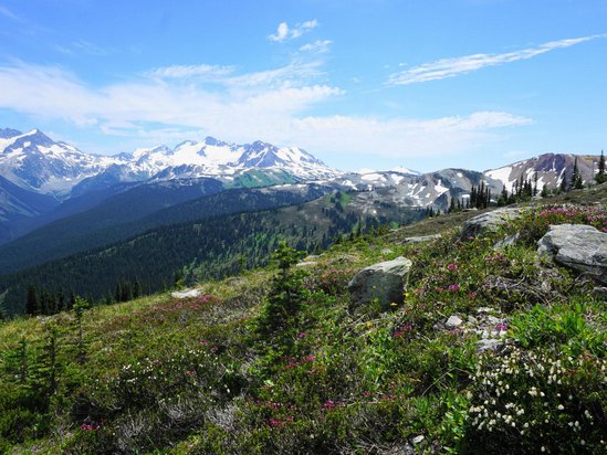 Whistler 2 Bedroom Accommodation - Whistler Town Plaza - Eagle Lodge - #3575