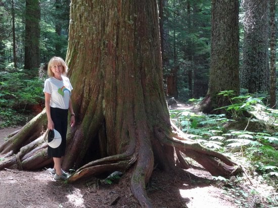 Whistler 2 Bedroom Accommodation - Whistler Town Plaza - Eagle Lodge - #3575